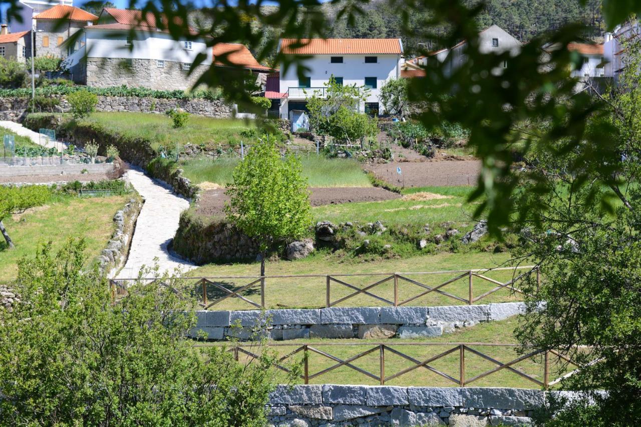 Villa Casa Dos Alcaides Sabugueiro  Esterno foto