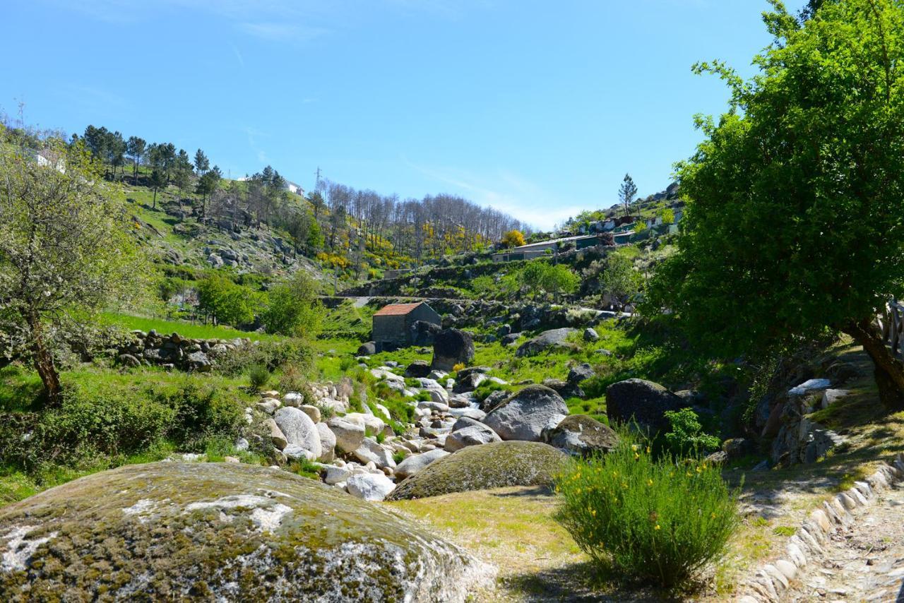 Villa Casa Dos Alcaides Sabugueiro  Esterno foto